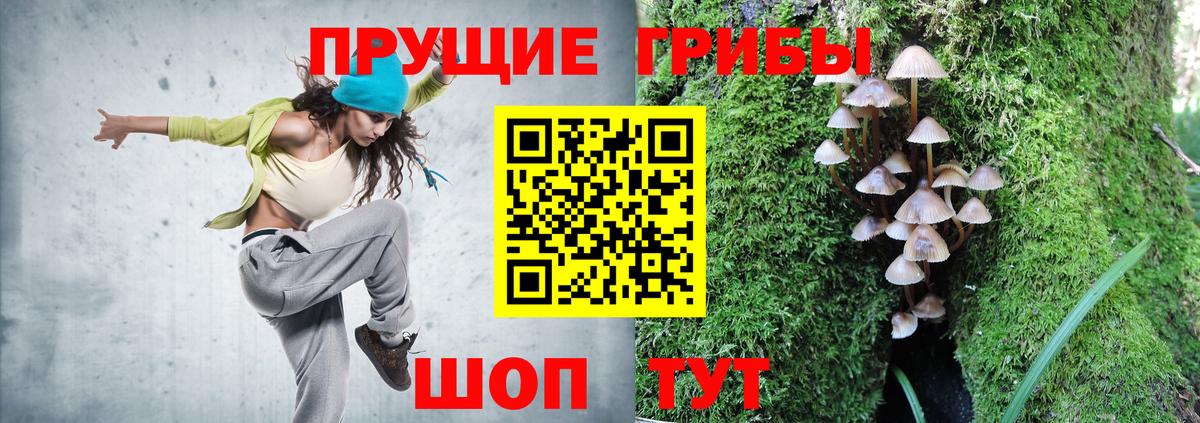 Галлюциногенные грибы прущие грибы  Вход с VPN  Элиста 